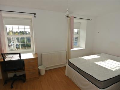 Picture 11